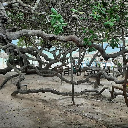 Apartmán Jangaloa Jijoca de Jericoacoara Exteriér fotografie