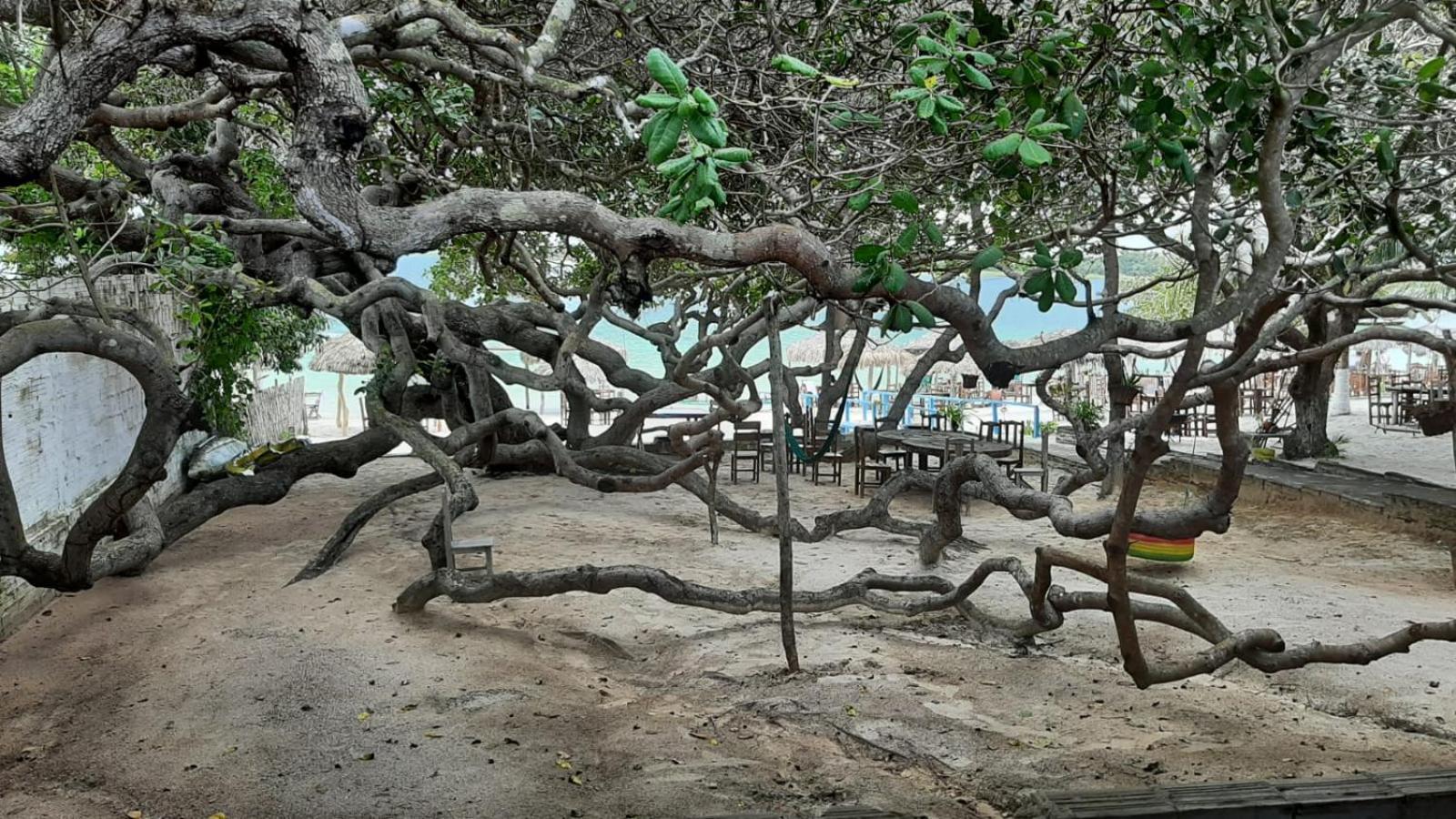 Apartmán Jangaloa Jijoca de Jericoacoara Exteriér fotografie